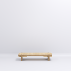Modument Monitor Riser